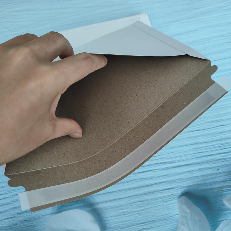 25 Buste Rigide Bianche per Sp - Letter Envelope Kraft recensione e prezzo