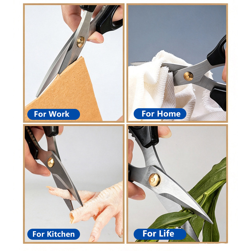 Forbici in Acciaio Inossidabil - Scissors Stainless Craft recensione e prezzo